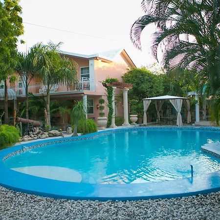 Palm Inn Hotel ポルトープランス 部屋 写真