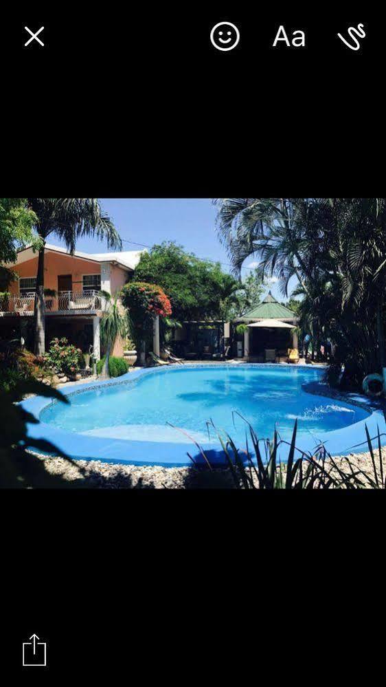 Palm Inn Hotel ポルトープランス エクステリア 写真